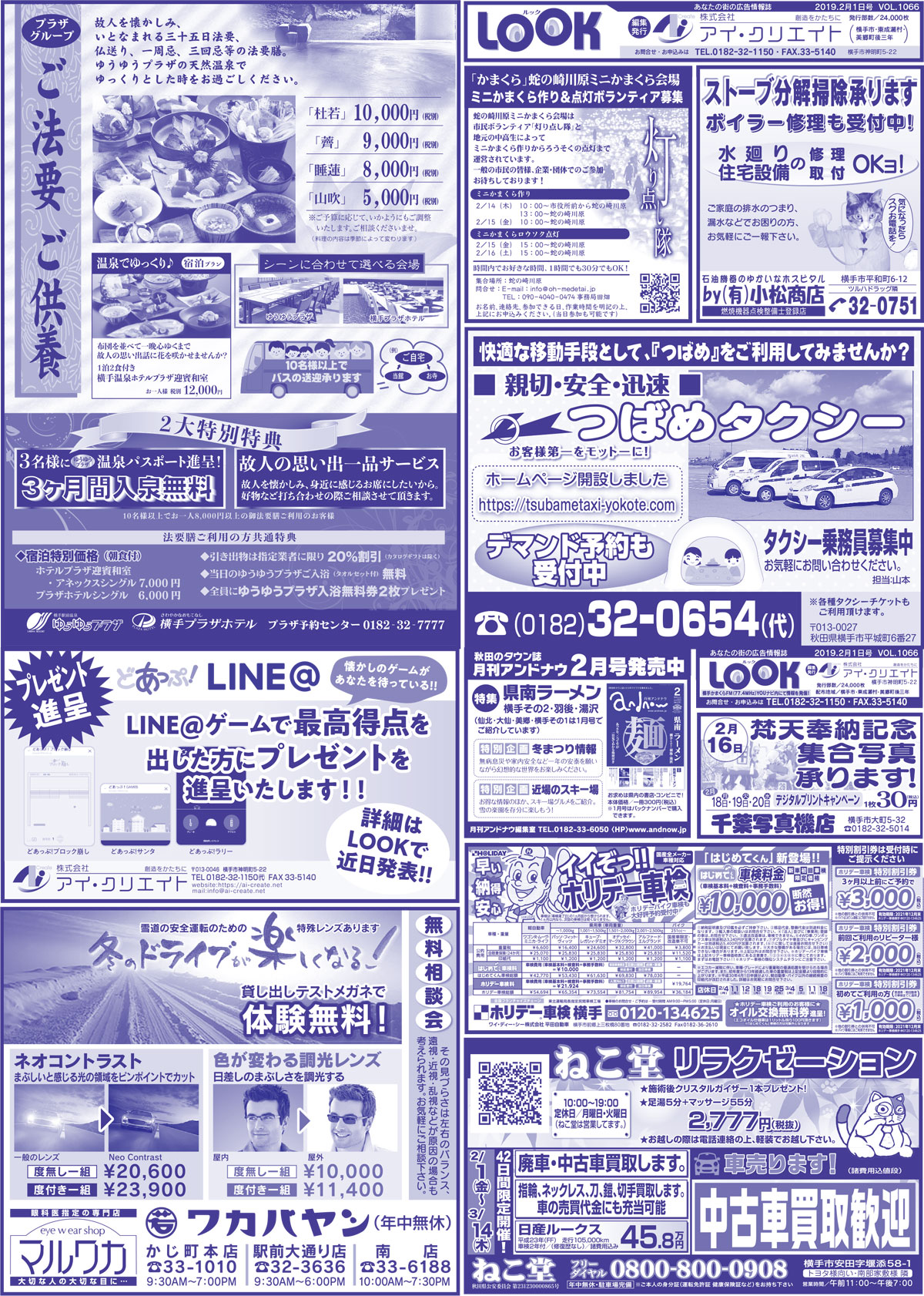 2019.02.01号