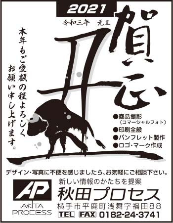 秋田プロセス 様